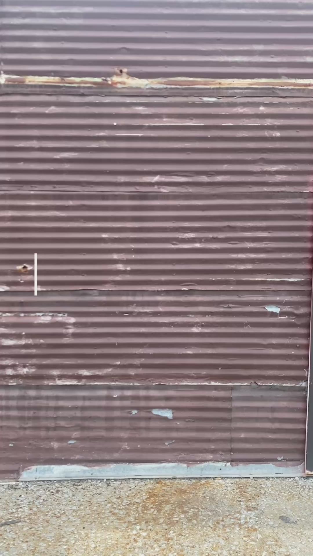 Skully Capitol “MPR” T Shirt